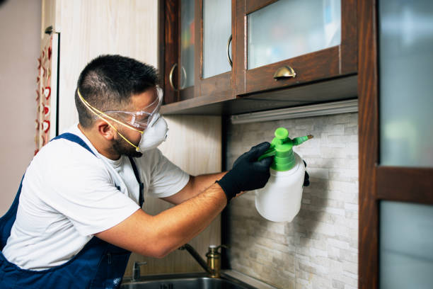 Best Local Pest Control Services  in Lemoore, CA