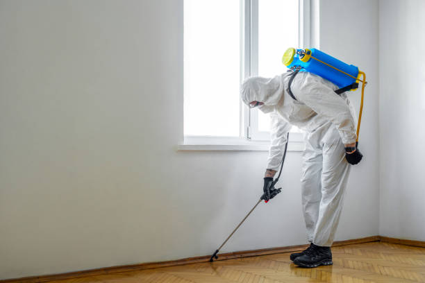 Best Bed Bug Extermination  in Lemoore, CA