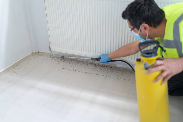 Best Affordable Pest Control Services  in Lemoore, CA