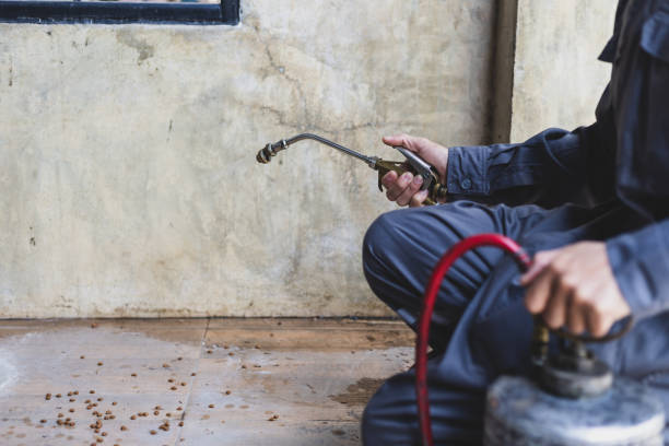 Best Best Pest Control Companies  in Lemoore, CA